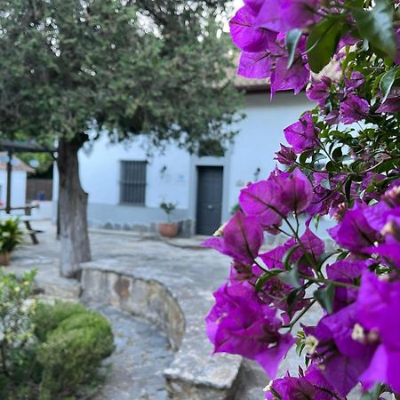 Complejo Rural Huerta Grande Guest House Algeciras Bagian luar foto