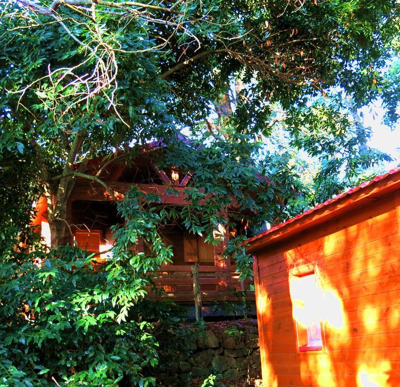 Complejo Rural Huerta Grande Guest House Algeciras Bagian luar foto